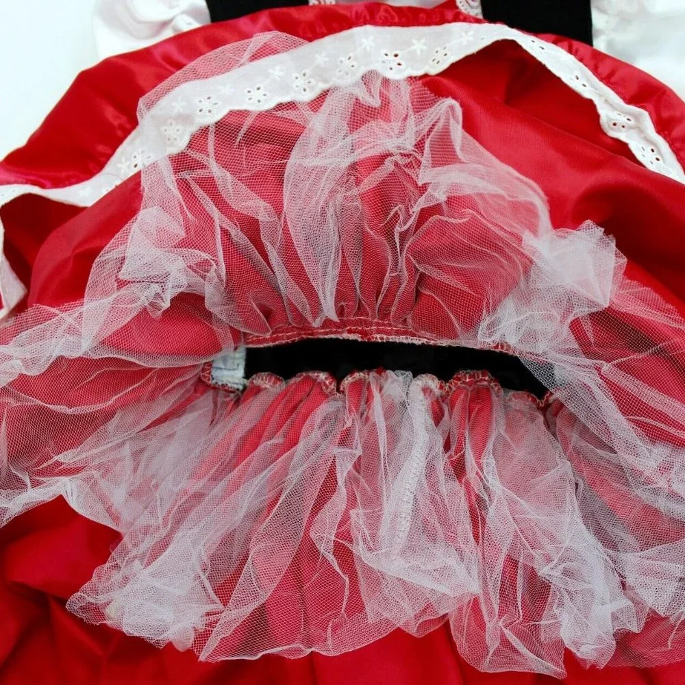 Lalaloopsy Scarlet Riding Hood Red Dress Costume